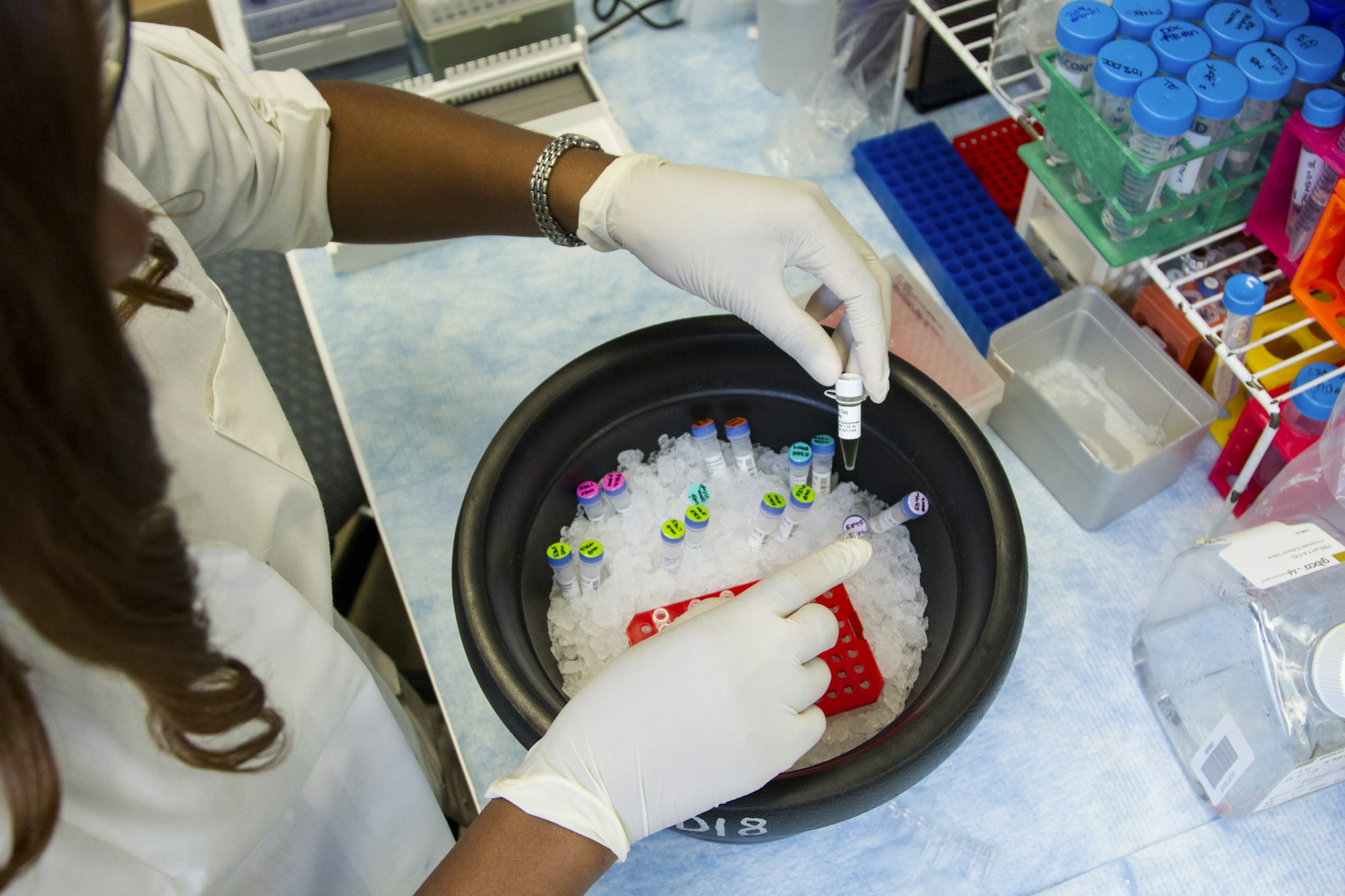 A researcher preparing samples in a modern laboratory